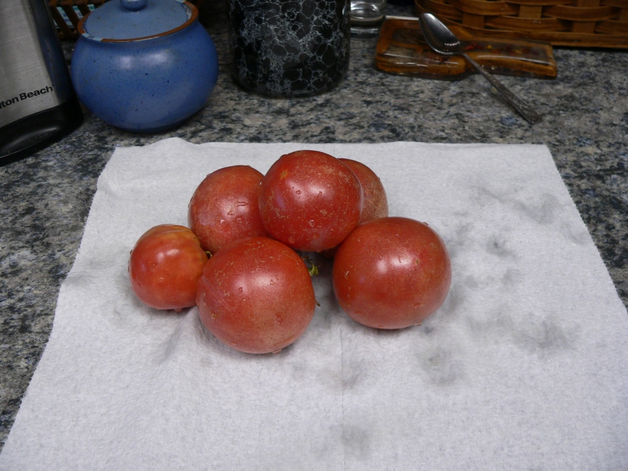 tomatoharvest